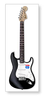 Электрогитара FENDER Stratocaster (2007)