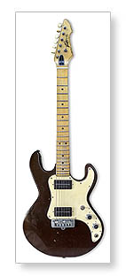 - PEAVEY T-15 (1981)